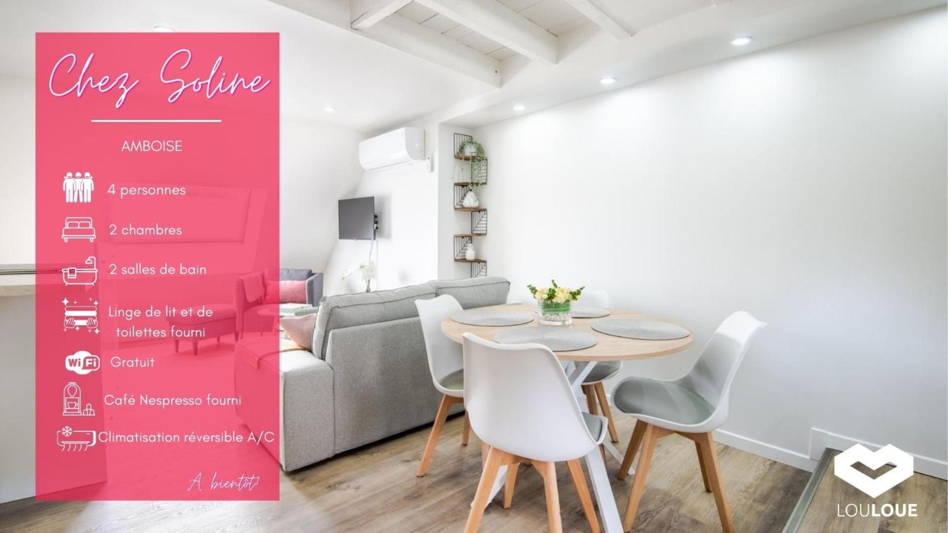 Chez Soline - Le Duplex Climatise Amboise Bagian luar foto