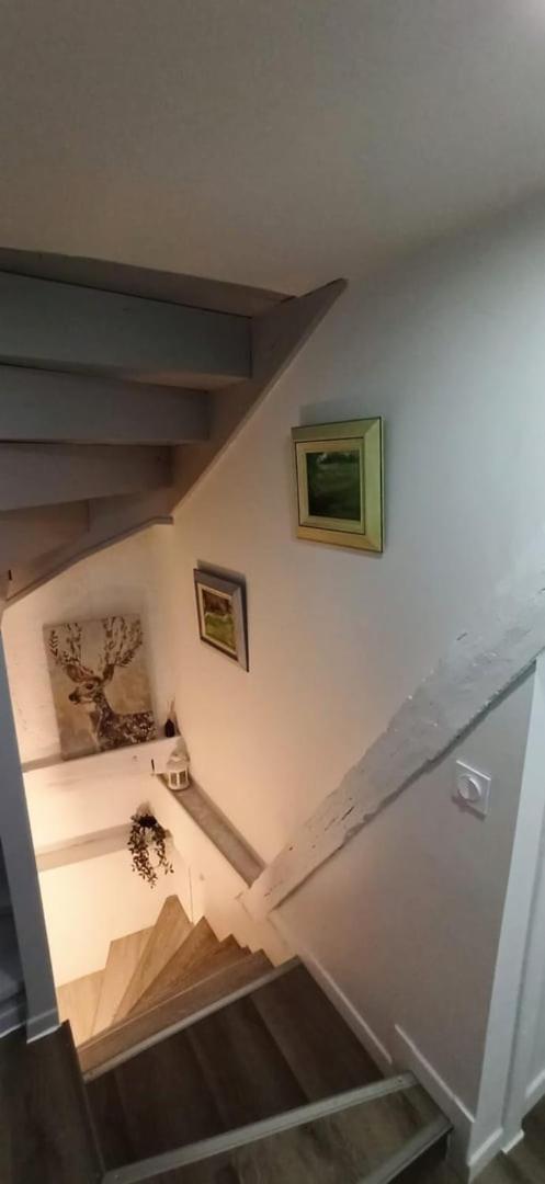 Chez Soline - Le Duplex Climatise Amboise Bagian luar foto