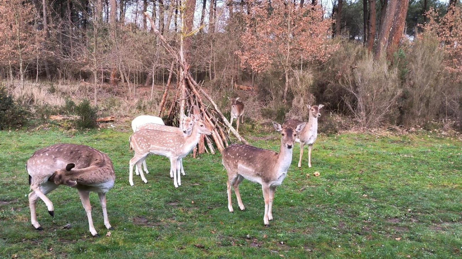 Chez Soline - Le Duplex Climatise Amboise Bagian luar foto